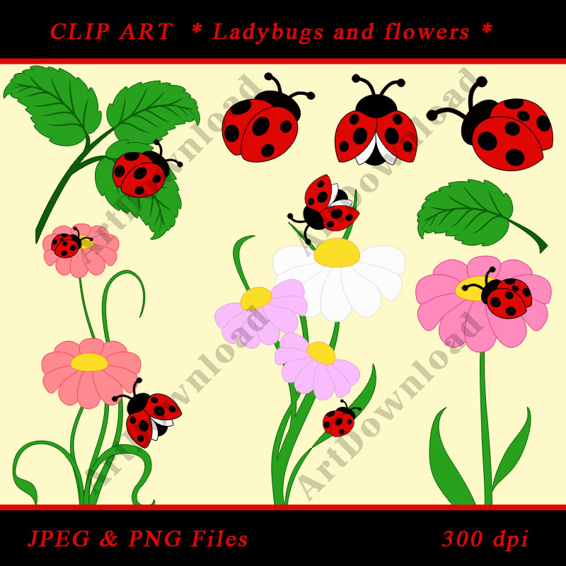 Ladybug Clip Art - Digital Clip Art Ladybug And Flowers, Scrapbooking, Set For Personal And Commercial Use